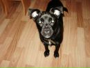 Фотография Реснички Олеси
