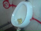 Андрій Миколайович фотография #22 (источник - https://vk.com/id5882941)