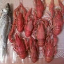 Андрій Ковпак фотография #21 (источник - https://vk.com/id167144822)