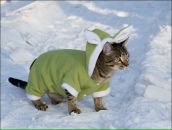 Фотография Смирновой Елены