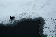 Катя Мищенко фотография #16 (источник - https://vk.com/id19178)