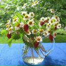 Христина Зелінська фотография #9 (источник - https://vk.com/id15712384)