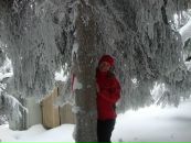 Віра Петришин фотография #11 (источник - https://vk.com/id57098363)