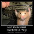 Стас Пєха фотография #1