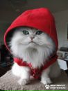 Іра Славич фотография #8 (источник - https://vk.com/id123731165)