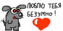 Ежик Нормальный фотография #5 (источник - https://vk.com/id136574260)