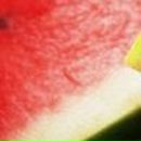 Екатерина Бояринова фотография #14 (источник - https://vk.com/id2134049)