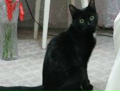 Фотография Царёвой Настёны