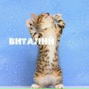 Фотография Tumanov Vitaly