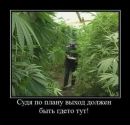 Фотография Маркелова Славы