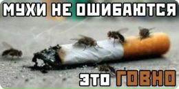 Андрей Кобец фотография #45 (источник - https://vk.com/id35535575)