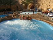 Фотография Цветкова Александра