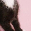 Олександра Сузінович фотография #27 (источник - https://vk.com/id67921577)