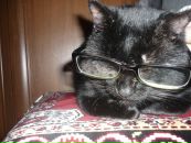 Юлія Устима фотография #49 (источник - https://vk.com/id34529139)