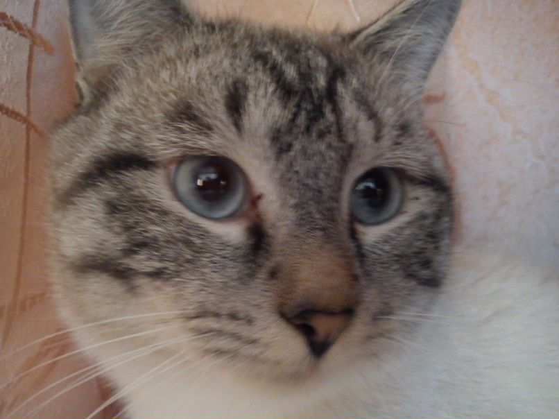 Александр Савельев фотография #33