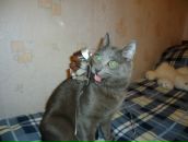 Фотография Неи Людмилы