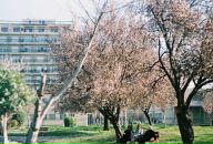 Іванна Харланова фотография #34 (источник - https://vk.com/id5313956)