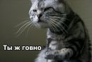 Дініс Петров фотография #25 (источник - https://vk.com/id148358806)