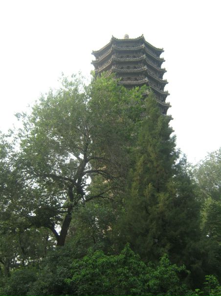 №12, Александра Юрченко, Москва, Россия №12, Александра Юрченко, Москва, Россия