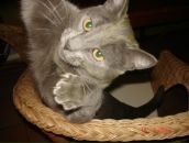 Фотография Амелькиной Регины