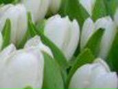 Мирослава Колодій фотография #37 (источник - https://vk.com/id74724043)