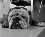 Фотография Строганова Лехи