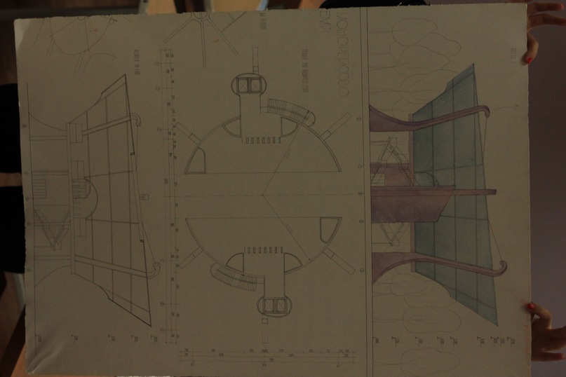 Поля Поля фотография #19