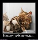 Алусік Мул фотография #50 (источник - https://vk.com/id125561275)