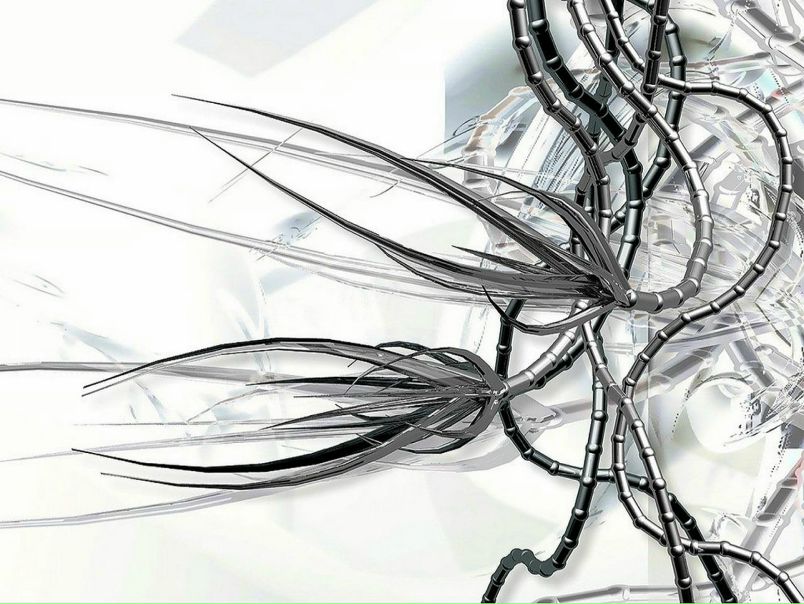 Дима Цымбалюк фото №1