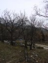 Сергей Щепачев фотография #21 (источник - https://vk.com/id2284402)