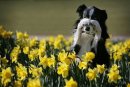 Славік Apokalips фотография #7 (источник - https://vk.com/id25073715)