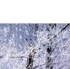 Ірина Хемич фотография #9 (источник - https://vk.com/id76051536)