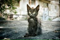 Фотография Чащина Максима