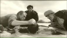 Фотография Ничепарука Никиты