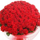 Андріанка Попович фотография #10 (источник - https://vk.com/id167351643)