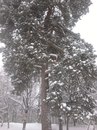 Олена Віцька фотография #11 (источник - https://vk.com/id163091324)