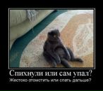 Сергій Миколайович фотография #5 (источник - https://vk.com/id21416882)