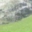 Василій Максимчук фотография #9 (источник - https://vk.com/id115527276)