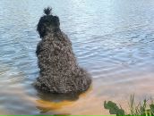 Фотография Беловой Галины