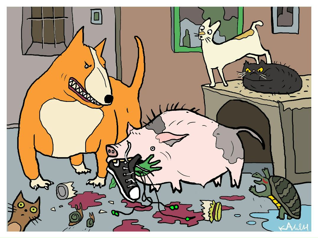 Николай Саныч фотография #30