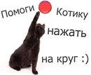 Макс Мафтійчук фотография #6 (источник - https://vk.com/id147659579)