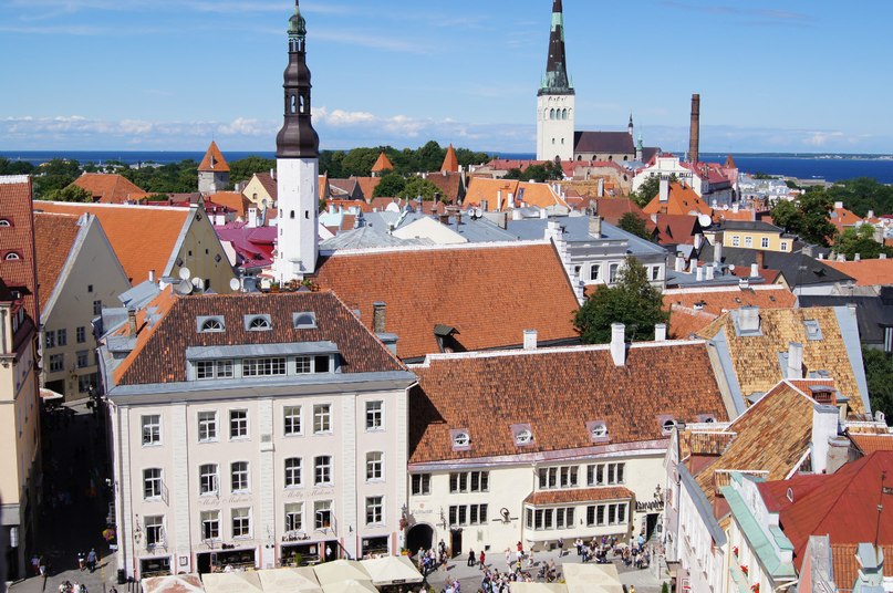 Дмитрий Игнатов фотография #2