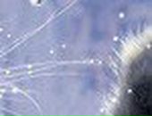 Галя Маланій фотография #36 (источник - https://vk.com/id69191395)