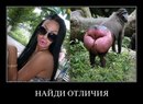 Анька Крайниківська фотография #28 (источник - https://vk.com/id167959300)