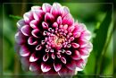 Святослав Ящун фотография #11 (источник - https://vk.com/id168498219)