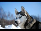 Фотография Сувоновой Анны