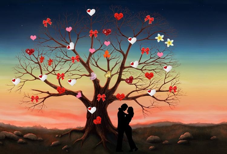 Элис Каленн фотография #8