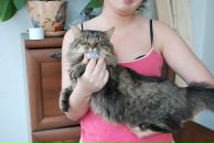 Фотография Кот Константин