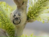 Фотография Бажиной Евгении