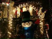 Фотография Sharafieva Guzel